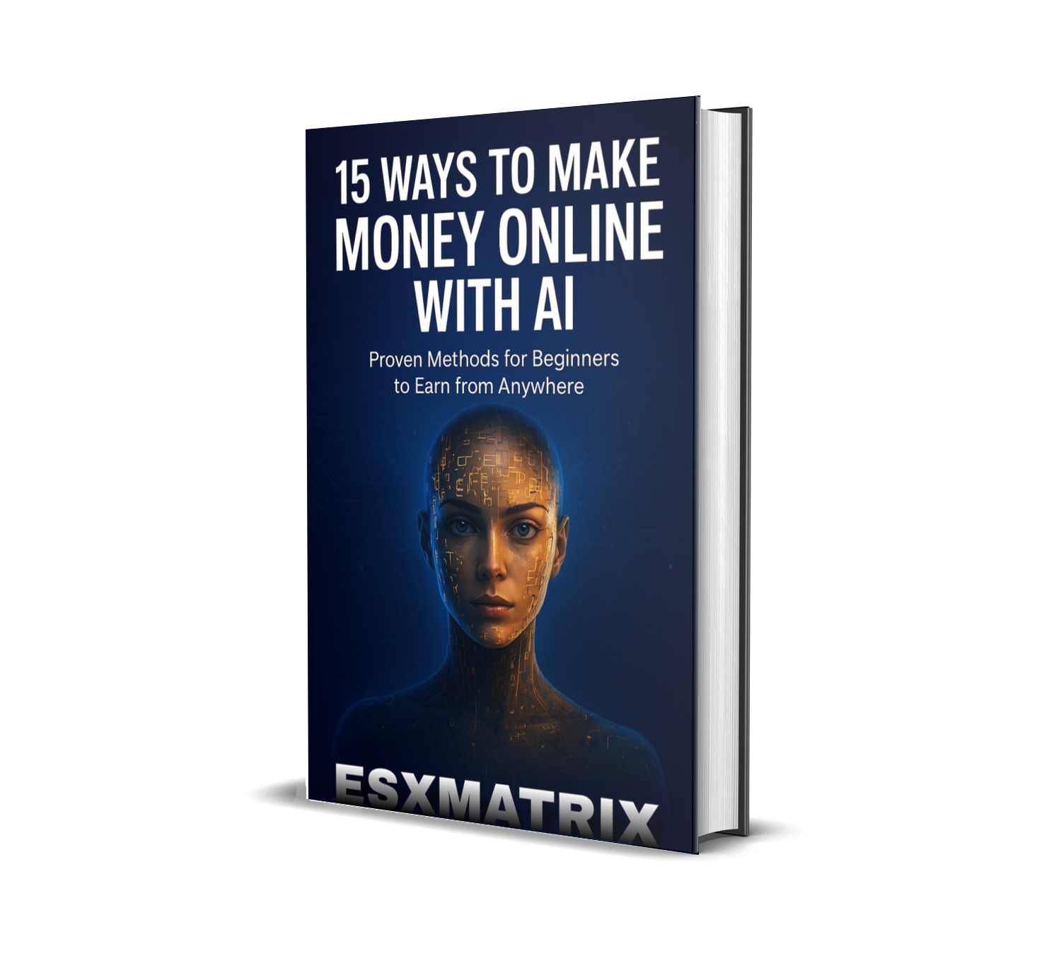 15 PROVEN WAYS TO MONETIZE AI